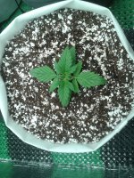 2021-03-25 23.52.50.jpg