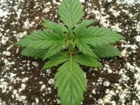 2021-03-25 23.53.03.jpg