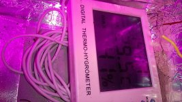 WP_20210326_11_24_39_Pro_LI.jpg