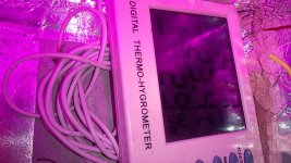 WP_20210326_11_24_48_Pro_LI.jpg