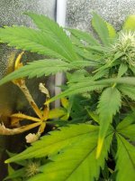 photo_2021-03-27_12-50-55 (2).jpg