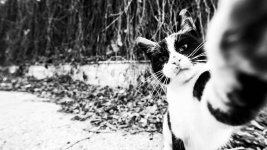 1B01AA4D-1348-48FE-8A92-FF3AEA56537D.jpeg