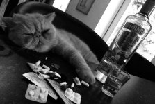 9C97C39F-7FF4-4650-ACE7-8BD75DF6F483.jpeg