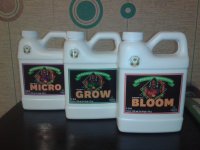 2021-03-29 22.04.30.jpg