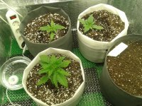 2021-03-29 14.02.38.jpg