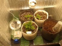 2021-03-30 14.11.27.jpg