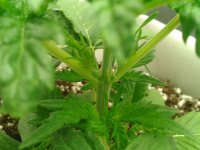 2021-03-30 14.11.58.jpg