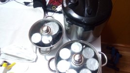 IMG_20210330_201312.jpg