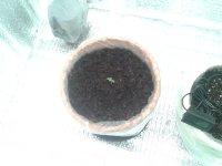 2021-03-16 06.04.56.jpg