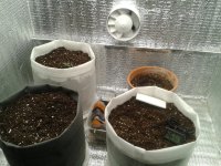 2021-03-19 00.08.28.jpg