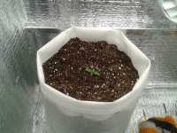 2021-03-19 00.08.37.jpg