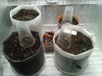 2021-03-19 14.45.21.jpg