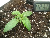 2021-03-23 05.00.27.jpg