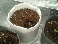 2021-03-23 05.00.51.jpg