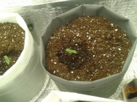 2021-03-23 05.01.00.jpg