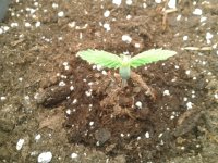 2021-03-23 13.05.42.jpg