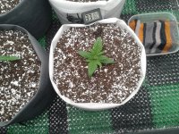 2021-03-25 01.37.38.jpg