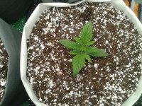 2021-03-25 01.38.28.jpg