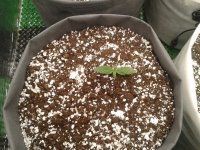 2021-03-25 01.38.40.jpg