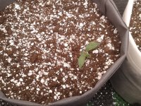 2021-03-25 01.38.56.jpg