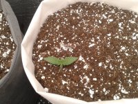 2021-03-25 01.39.07.jpg