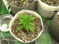 2021-03-29 14.02.25.jpg