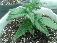 2021-03-30 14.13.52.jpg