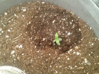 2021-03-31 17.28.45.jpg