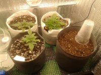 2021-03-31 17.27.18.jpg