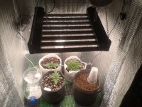 2021-03-31 17.27.31.jpg