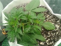 2021-03-31 17.28.03.jpg