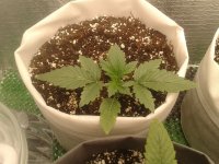 2021-03-31 17.28.21.jpg