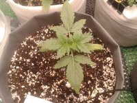 2021-03-31 17.28.35.jpg