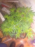 IMG_20210327_220359.jpg