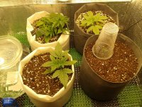 2021-04-01 17.13.02.jpg