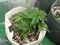 2021-04-01 17.13.14.jpg