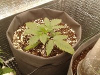 2021-04-01 17.13.28.jpg