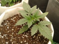 2021-04-01 17.13.41.jpg