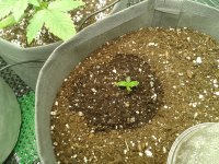 2021-04-01 17.13.56.jpg