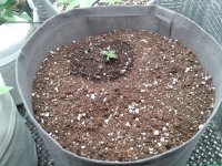 2021-04-01 17.14.11.jpg