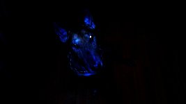 IMG_20210203_204123.jpg