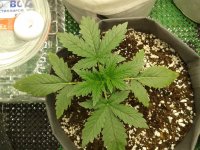 2021-04-02 20.57.01.jpg