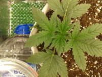 2021-04-02 20.57.15.jpg