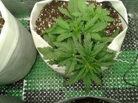 2021-04-02 20.57.31.jpg