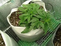 2021-04-02 20.57.43.jpg