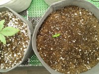 2021-04-02 20.57.57.jpg