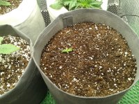 2021-04-02 20.58.09.jpg