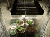 2021-04-02 20.58.24.jpg