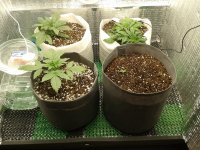 2021-04-02 20.58.36.jpg