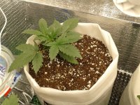 2021-04-02 20.56.35.jpg